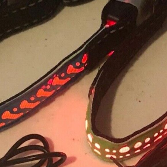 2 Dog Collars GLOW LED RECHARGEABLE Flashing Safety Walks - Picture 6 of 7